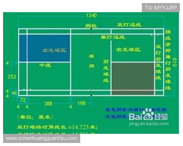 发球干扰规则是什么意思？新手必看的判罚标准解析